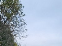 zloty-24 (5)